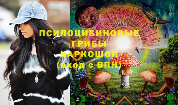 бошки Алексин
