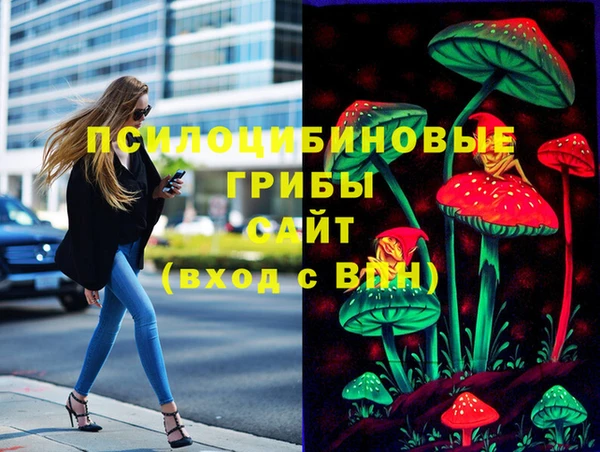 бошки Алексин