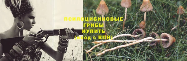 бошки Алексин