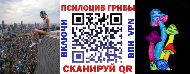 Псилоцибиновые грибы Psilocybine cubensis  Дедовск 
